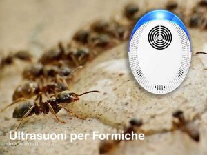 Ragni zanzare Non tossico Repellente per Topi PKA scarafaggi formiche AC90 V-240 V Repellente ad ultrasuoni per parassiti con Luce Notturna 